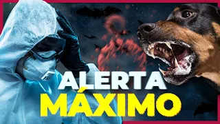 A VOLTA PREOCUPANTE DO VÍRUS MAIS LETAL DO MUNDO | Vírus da Raiva