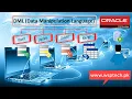 DML Data Manipulation Language Insert Update Delete and Merge SQL Queries Perform in Database