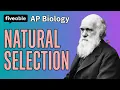 AP Biology - Unit 7 Natural Selection Evolution