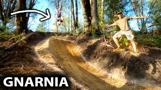 we built a new trick step up gnarnia