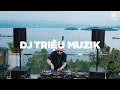 Download Lagu NỤ HỒNG MONG MANH - NHẠC NGHE TRÊN XE (VOL 7) - DJ TRIỆU MUZIK [ĐẶT NHẠC ZALO: 033.7273.111]
