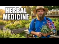 The Amish Method for Growing Pharmacy-Grade Medicine in Your Backyard