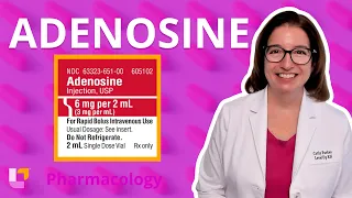 Antiarrhythmics: Adenosine: Pharmacology - Cardiovascular System Nursing School | @LevelUpRN