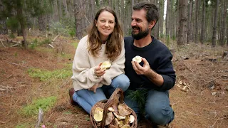 Pine Forest Foraging | Weaning our Piglets – Free Range Homestead Ep 42