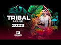 Download Lagu TRIBAL HOUSE SUMMER SET - ARE YOU READY? DJ DEREK FLORES