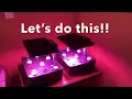 Tips for Starting New Seeds in the IDOO Hydroponics Grow System