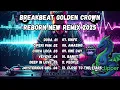 Download Lagu BREAKBEAT GOLDN CROWN REBORN NEW REMIX 2025