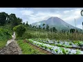 Lagu Relaxing Sound with beautiful Merapi Volcano at Indonesia.