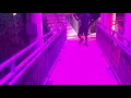 Surrender Your Love-Nightcrawlers (Corpse&Carcass Edition) DANCE VIDEO