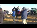 RACE 6 AQUEDUCT USA 15 JAN 2026