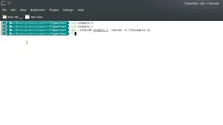 How to Call C Code from Python Structs Pointers and Strings
