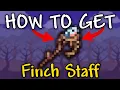 How to Get Finch Staff in Terraria 1 4 4 9 Finch Staff Terraria
