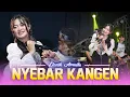 Download Lagu NYEBAR KANGEN - Denik Armila ft Bintang Nada