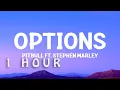 [1 HOUR 🕐 ] Pitbull  - Options (Lyrics) ft Stephen Marley