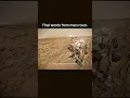 Download Lagu My battery is getting low || Mars rovers final words