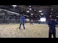 2022 Mid-America Dorper Show