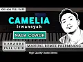 Download Lagu CAMELIA_IRWANSYAH [COWOK] VERSI REMIX PALEMBANG | KARAOKE FULL LIRIK