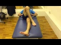 Gracilis Work Supine