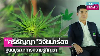 กัญชาที่ปลูกเพื่อการแพทย์ต้องผ่านขั้นตอนอะไรบ้างตั้งแต่เริ่มต้น