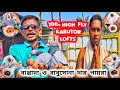 Download Lagu পরিবারের সাহায্যে ১০০ অধিক কবুতর পালন করছে দুই দাদা।BAPPA DAR KOBUTOR LOFTS।@pigeonsloverrj9600 