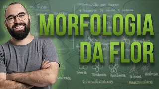 Organologia da Flor (Morfologia) - Aula 18: Botânica (Prof. Guilherme)