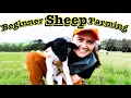 SHEEP FARMING FOR BEGINNERS What I Wish We Knew Before Starting a Sheep Farm