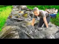 Download Lagu Catch a Huge Fish Pond Full of Carp by Hands - Bring them to Market Sell | Rural Life