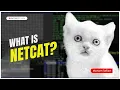 Introduction to Netcat What is NetCat How NetCat Works InfosecTrain