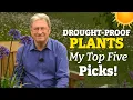 Download Lagu My Top 5 Drought-Resistant Plants for a Low-Maintenance Garden