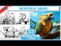 32 Beautiful Birds Adult Coloring Book Animals Fantasy in Nature Coloring Pages