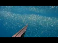 Download Lagu 🎣 A Day Full of Surprises: Big Catch \u0026 Broken Spear! 😲🐟