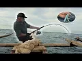 Download Lagu Jigging in a small pirogue on the Indian Ocean - Chasing Monsters