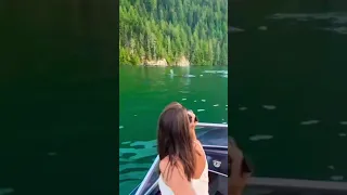 Orcas on the Hunt! (Amazing Killer Whale Siting) #rememberthis #shorts