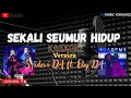 Download Lagu SEKALI SEUMUR HIDUP || KARAOKE VERSION || SRIDEVI DA FT EBY DA