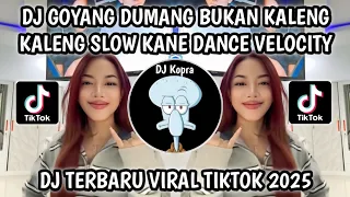 dj goyang dumang bukan kaleng bukan kaleng kaleng versi slowed dance velocity viral tiktok 2025 