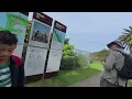 Download Lagu Bradleys Head to Taranga Zoo | Treadmill Exercise | Sydney Harbour, Australia