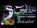 Download Lagu Surah Yaseen With Urdu Translation | Episode 283 | Surah Yaseen Urdu Tarjuma ke Sath