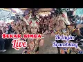 Download Lagu SEKAR RIMBA live mundungan bringin srumbung magelang