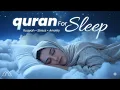 Peaceful Quran Recitation for Sleep \u0026 Study | Must Listen Quran | Echoes of Quran