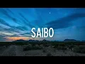 Saibo (Lyrics) - Sachin-Jigar, Shreya Ghosha, Tochi Raina