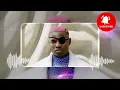 Ruger -Dior (Official Music lyrics Video)