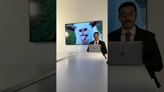 اشتريت نزلة سمان 