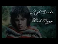 Nick Drake - Pink Moon (Lyrics)