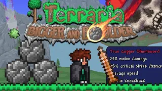 EVERY Secret in Terraria 1 4 5