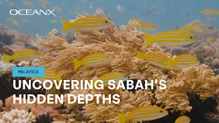 Uncovering Sabah's Hidden Depths