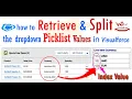 How to retrieve and split the dropdown picklist values in Visualforce page Salesforce