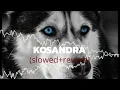 Download Lagu Kosandra (slowed+reverbed).            #song #attitude #carsongs #slowedandreverb