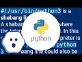 Purpose of python3 shebang
