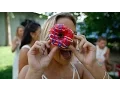 FSU Zeta Tau Alpha 2016