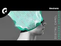Download Lagu Digital Camel - Endless Dreaming